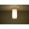 Besa Lighting Pahu 8 Ceiling, Trans. Armagnac/Opal, Satin Nickel Finish, 1x100W Incandescent 1KM-G00607-SN - alternate 1